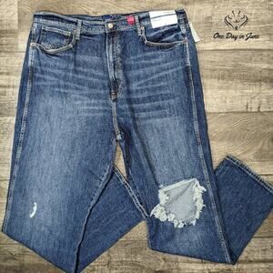 Arizona Jean Co. Highest Rise 90's Straight Jeans Size 21